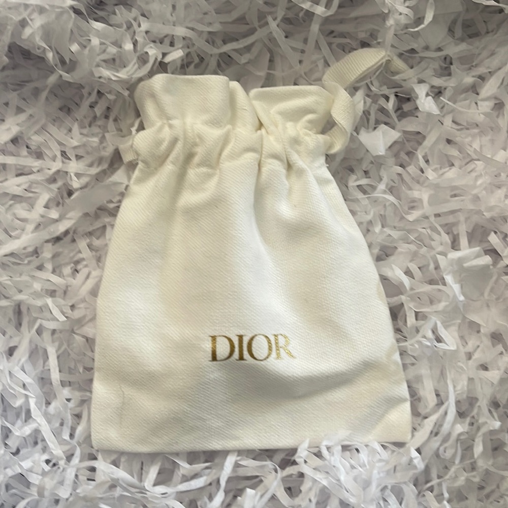 Dior Canvas pouch